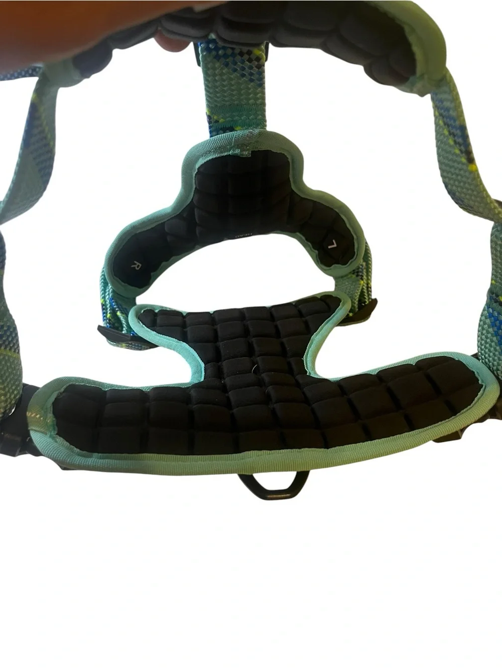 Arcadia Trail Mint Green Quick Dry Padded Dog Harness New